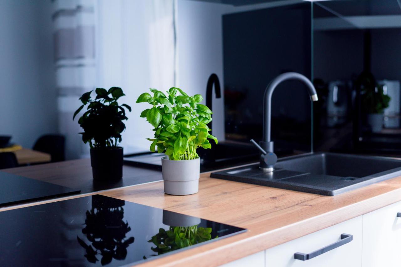 Apartamenty u Maciusia Duszniki Zdroj Bagian luar foto